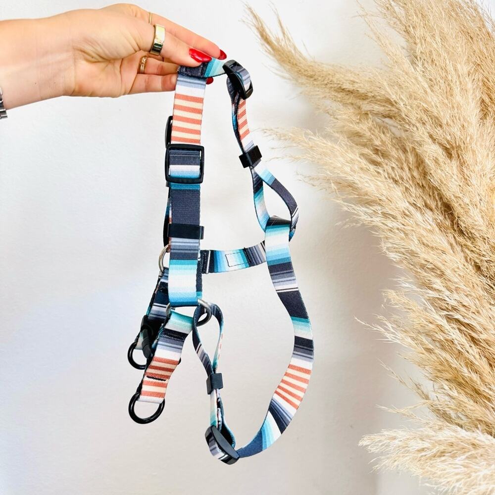 NEW LEEDS Jetty Blue White Orange Stripe Step Harness and 6โ Dog Leash $108 Set - Picture 5 of 11